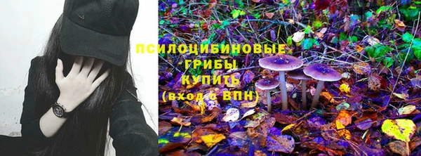 герыч Вяземский