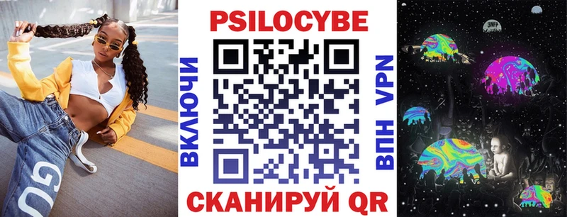 Псилоцибиновые грибы Psilocybe Тверь